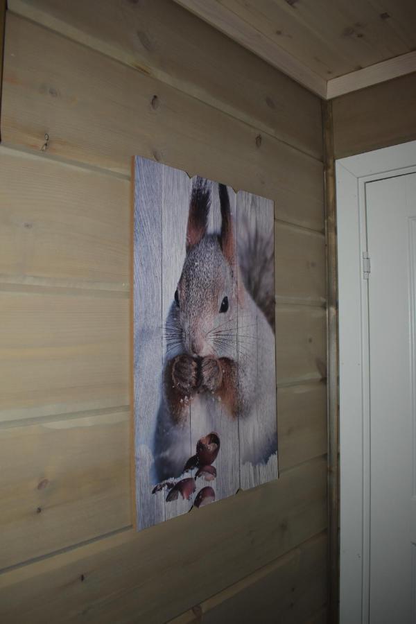 Norbel Hytte Norway Вродал Екстер'єр фото